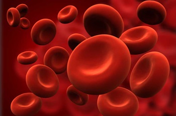 Illustration of red blood cells